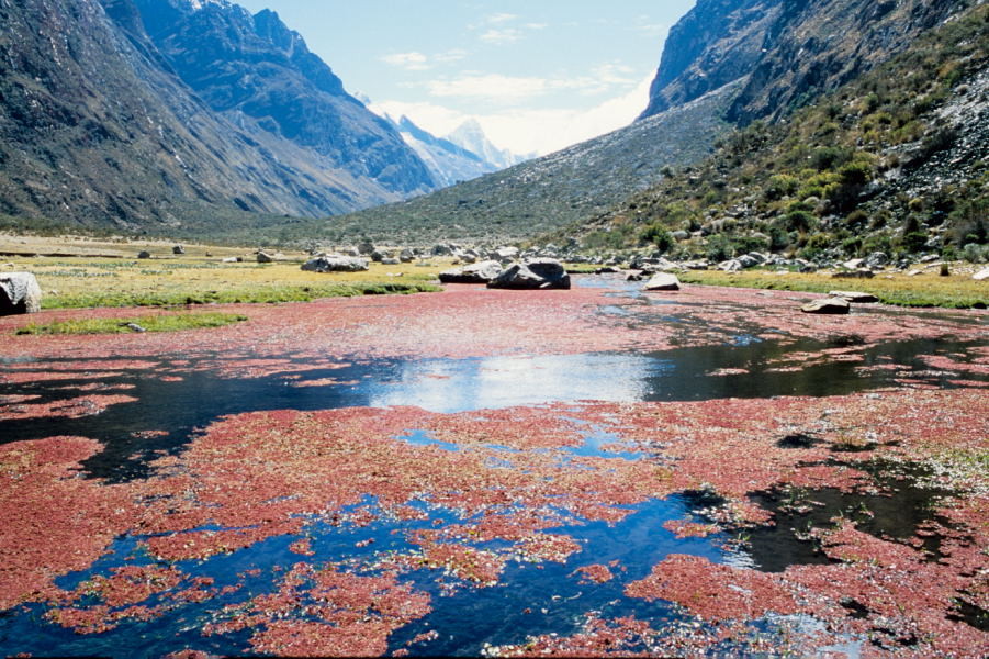 Laguna Jatuncocha (Quebrada Santa Cruz)