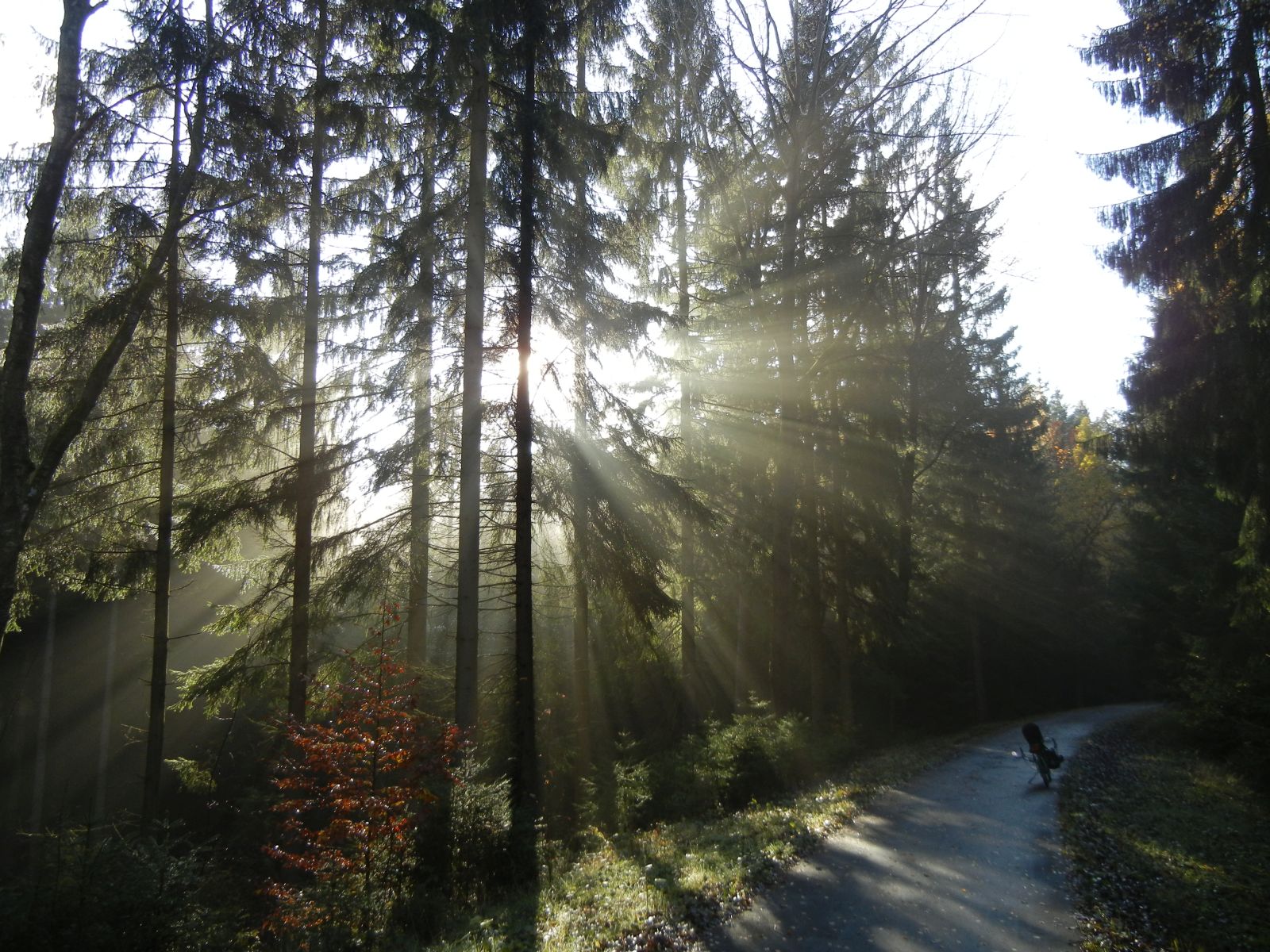 Radweg Falkenstein-Oelsnitz