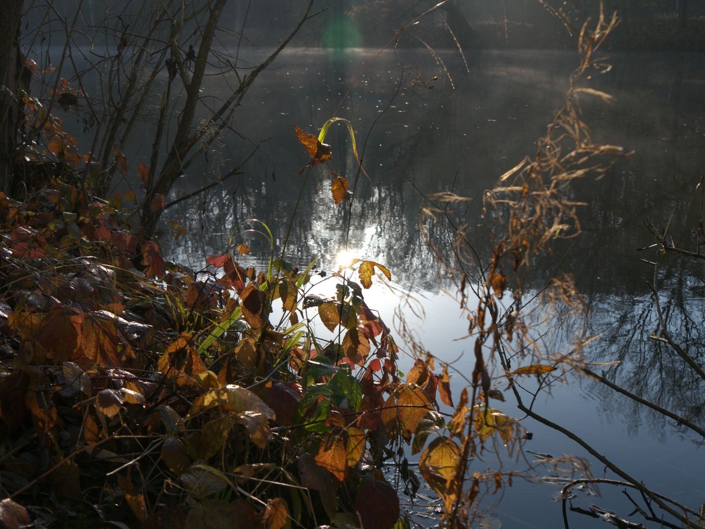 am Morgen an der Mulde