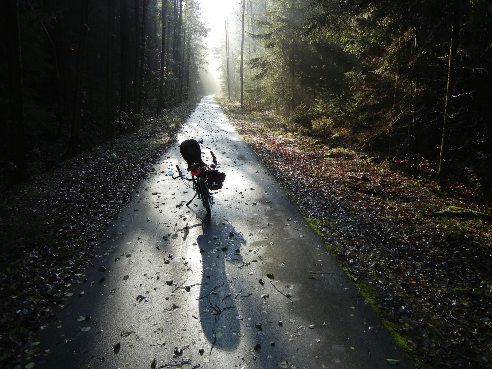 Radweg Falkenstein-Oelsnitz