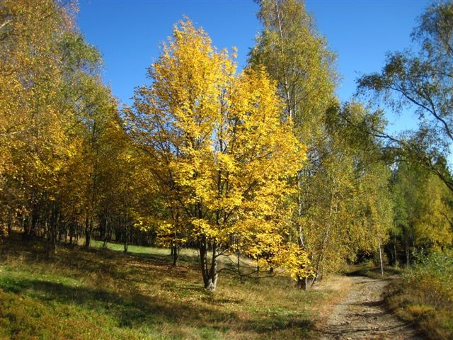 Wanderung zwischen Kraslice und Aschberg