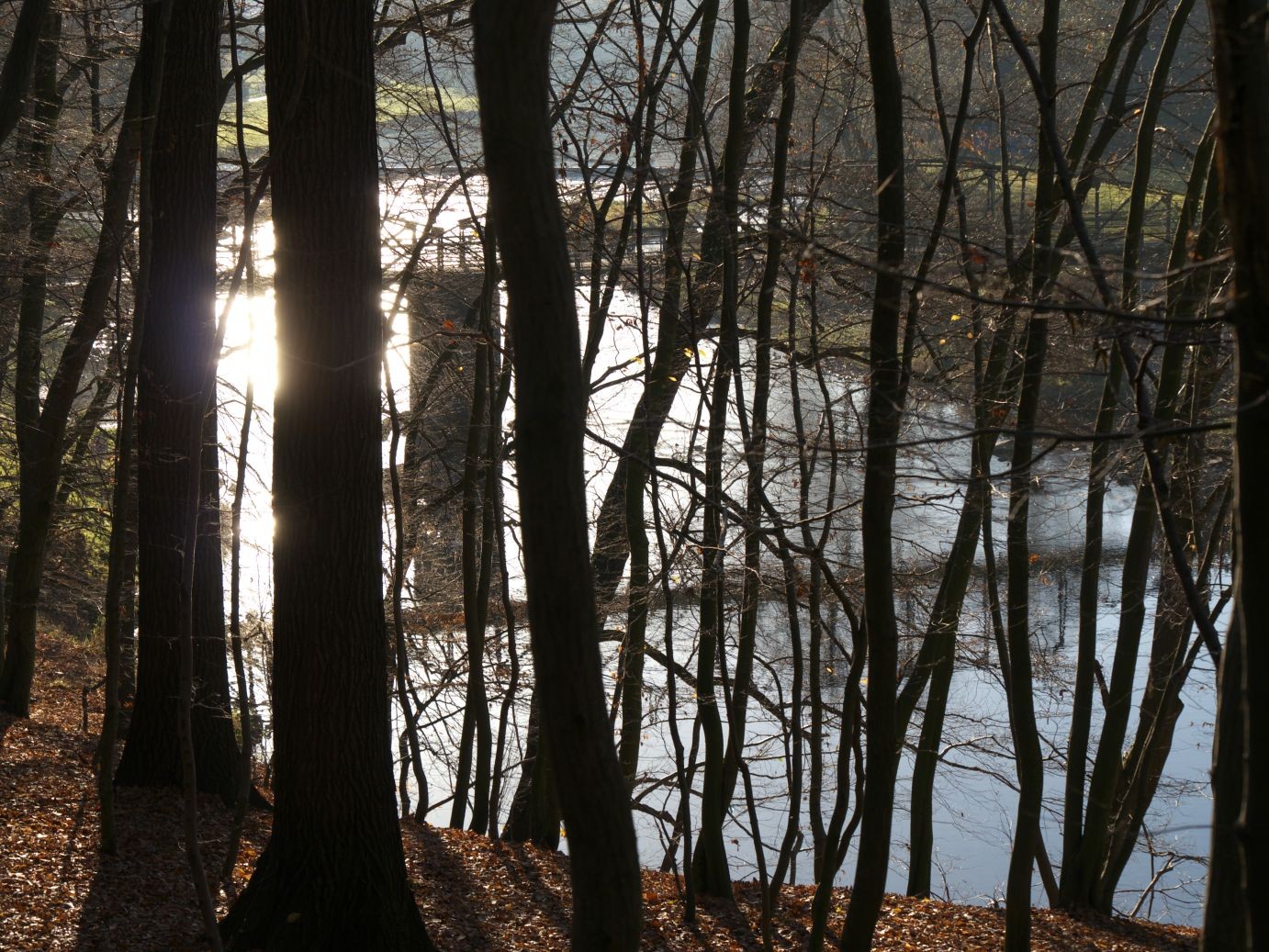 auf dem Rückweg