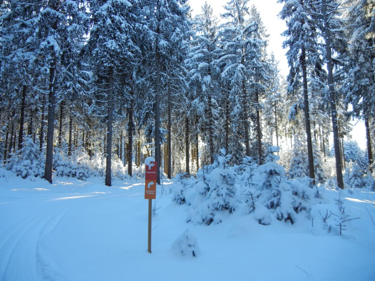 auf der Berglandloipe