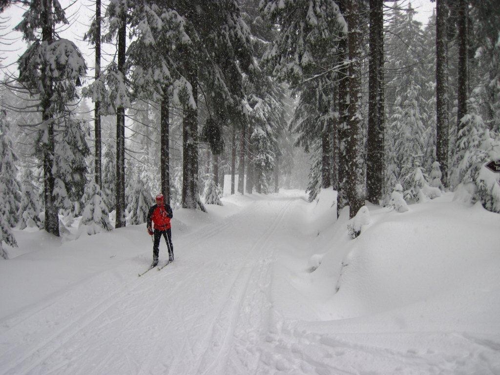 Kammloipe Mühlleithen - Aschberg, Zustand Sonntag 08.01.2012