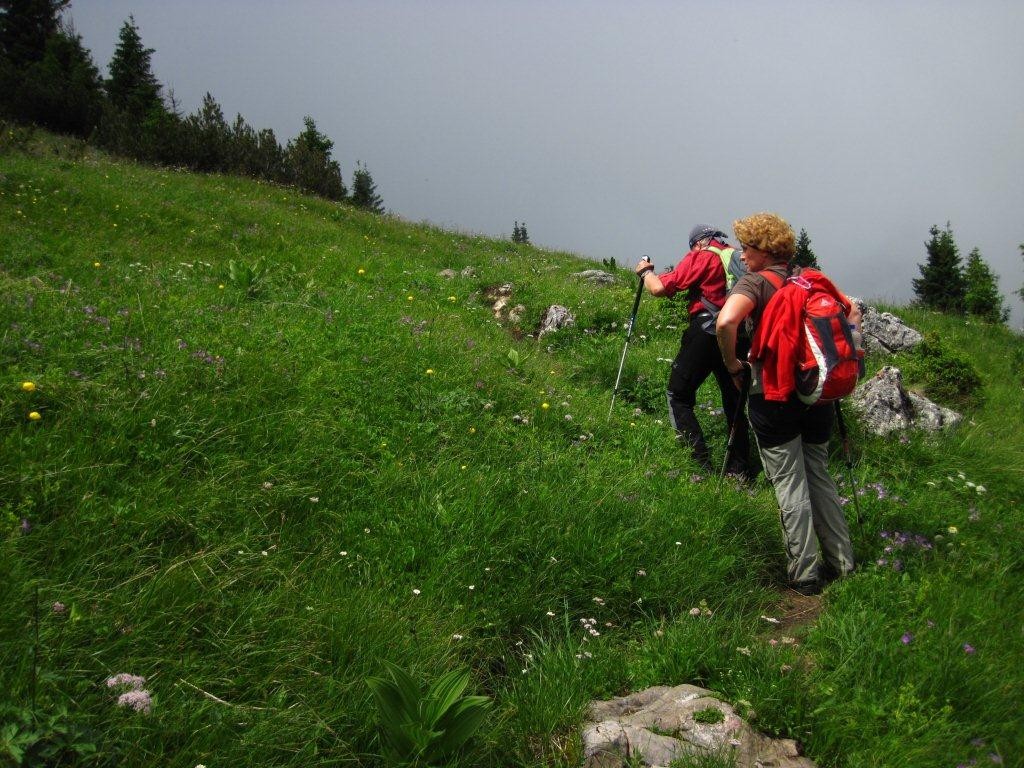 Wanderung bei Schloß Linderhof - Ammergauer Alpen