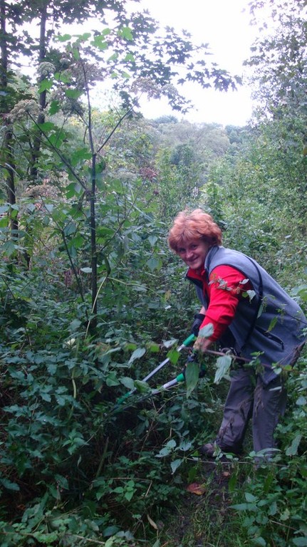 DAV Arbeitseinsatz im Klettergebiet Steinicht, 07.09.2011