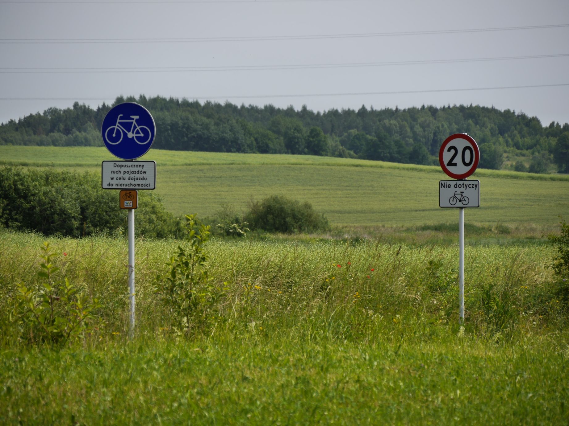 Der Schilderwald nimmt auch in Polen zu!