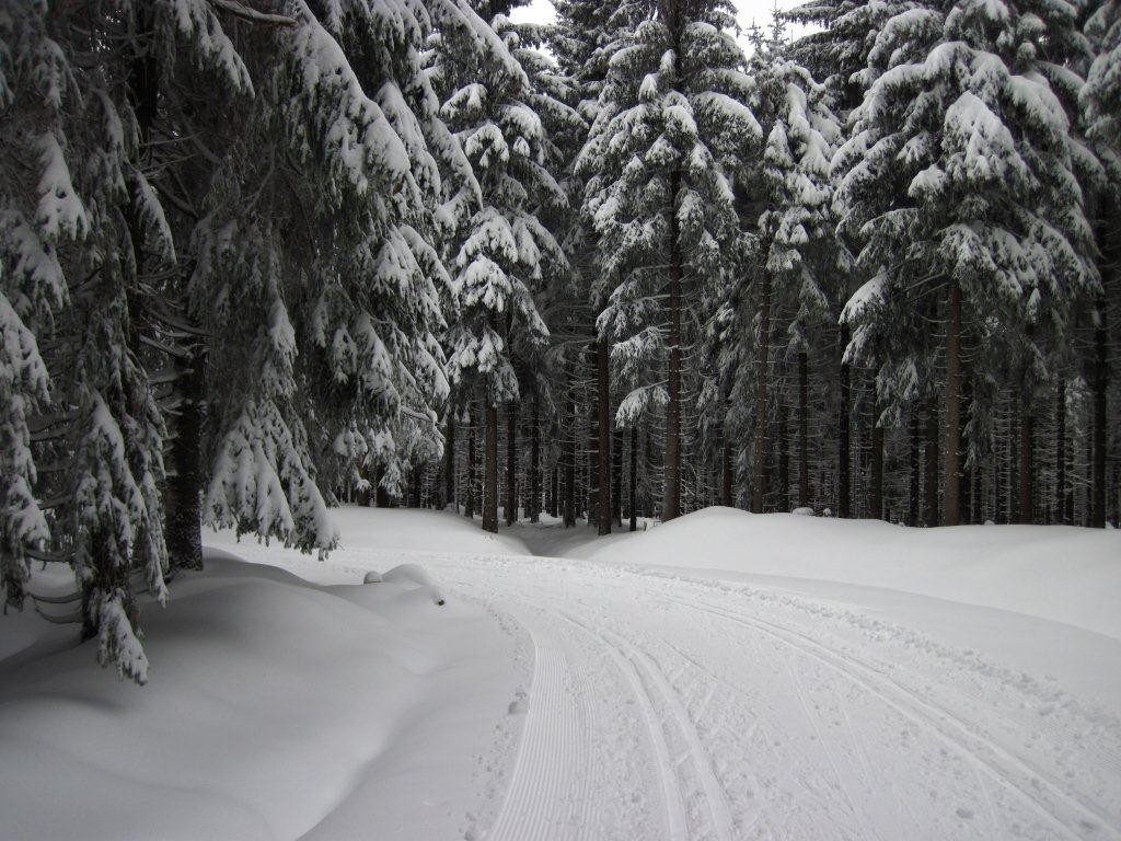 Kammloipe Mühlleithen - Aschberg, Zustand Sonntag 08.01.2012