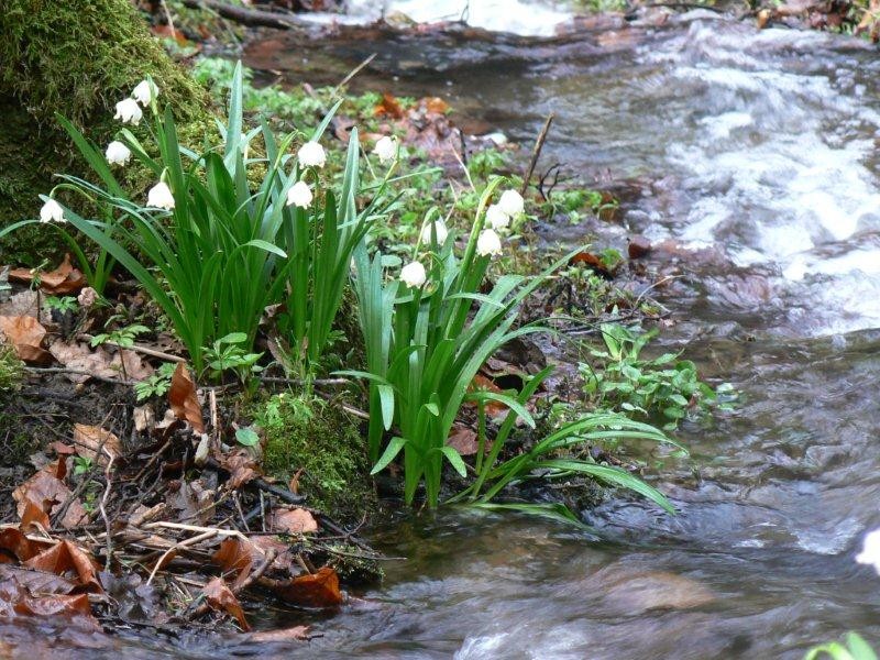 Wanderung in der Sächsischen Schweiz