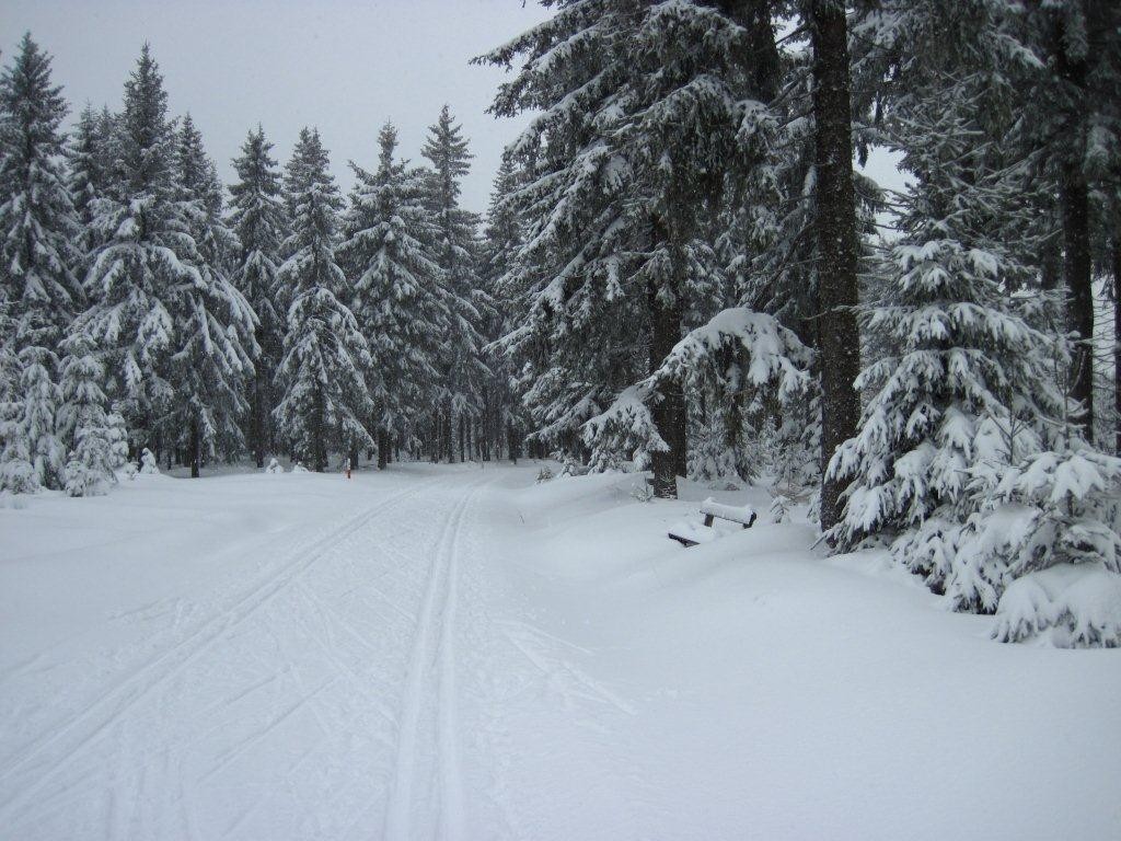 Kammloipe Mühlleithen - Aschberg, Zustand Sonntag 08.01.2012