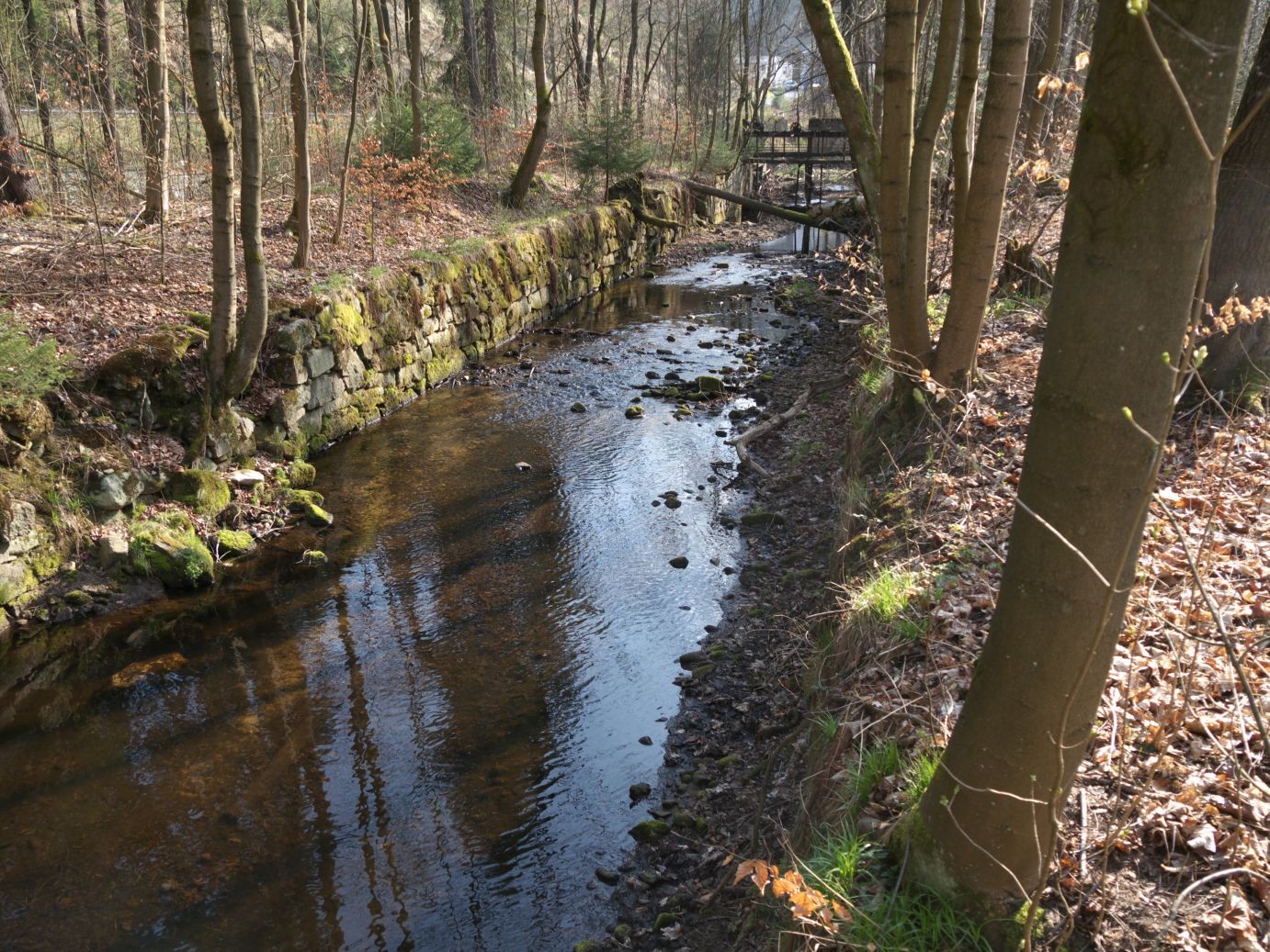 das alte Floßgrabensystem