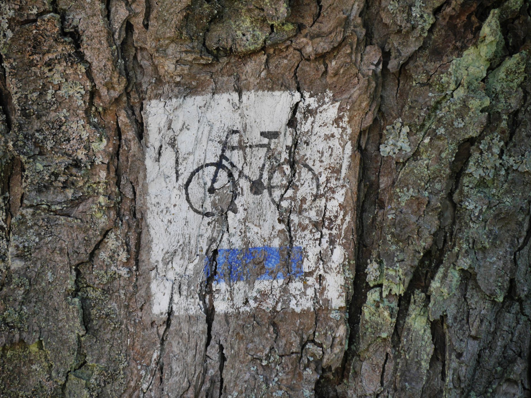 Radwegebeschilderung in Masuren