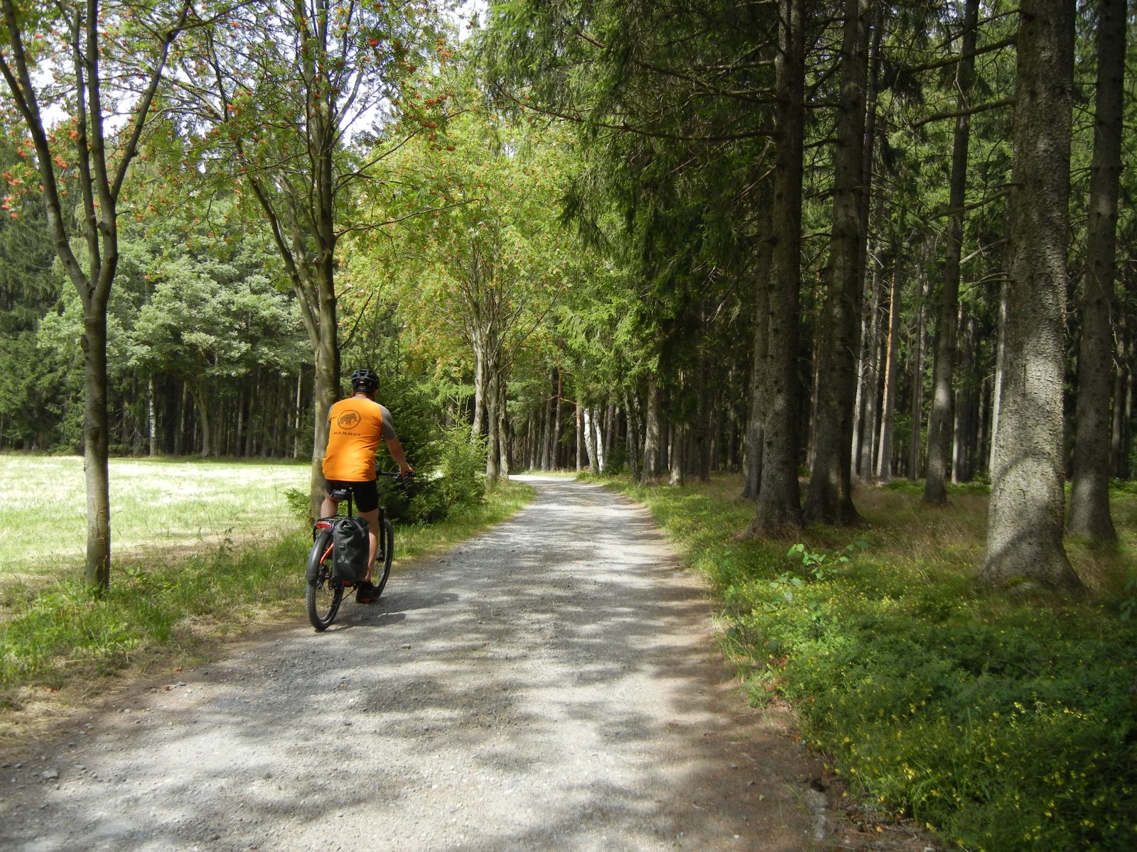 Auf dem Weg nach Schreiersgrün