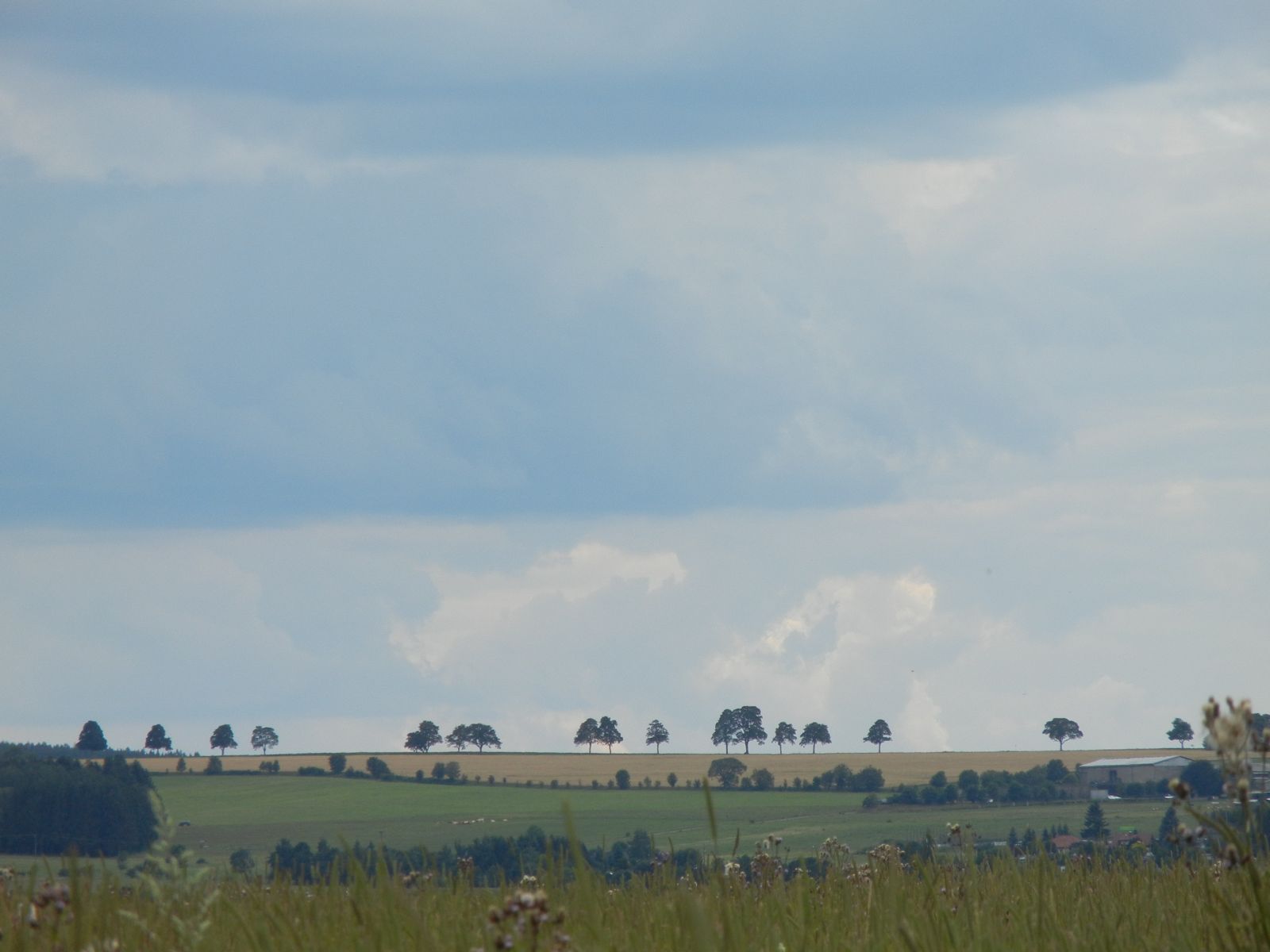 Blick auf die Ortsverbindungsstraße von Poppengrün nach Grünbach