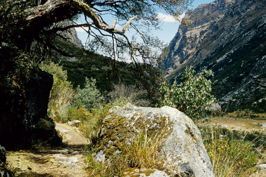 Quebrada Cojup (Cordillera Blanca)