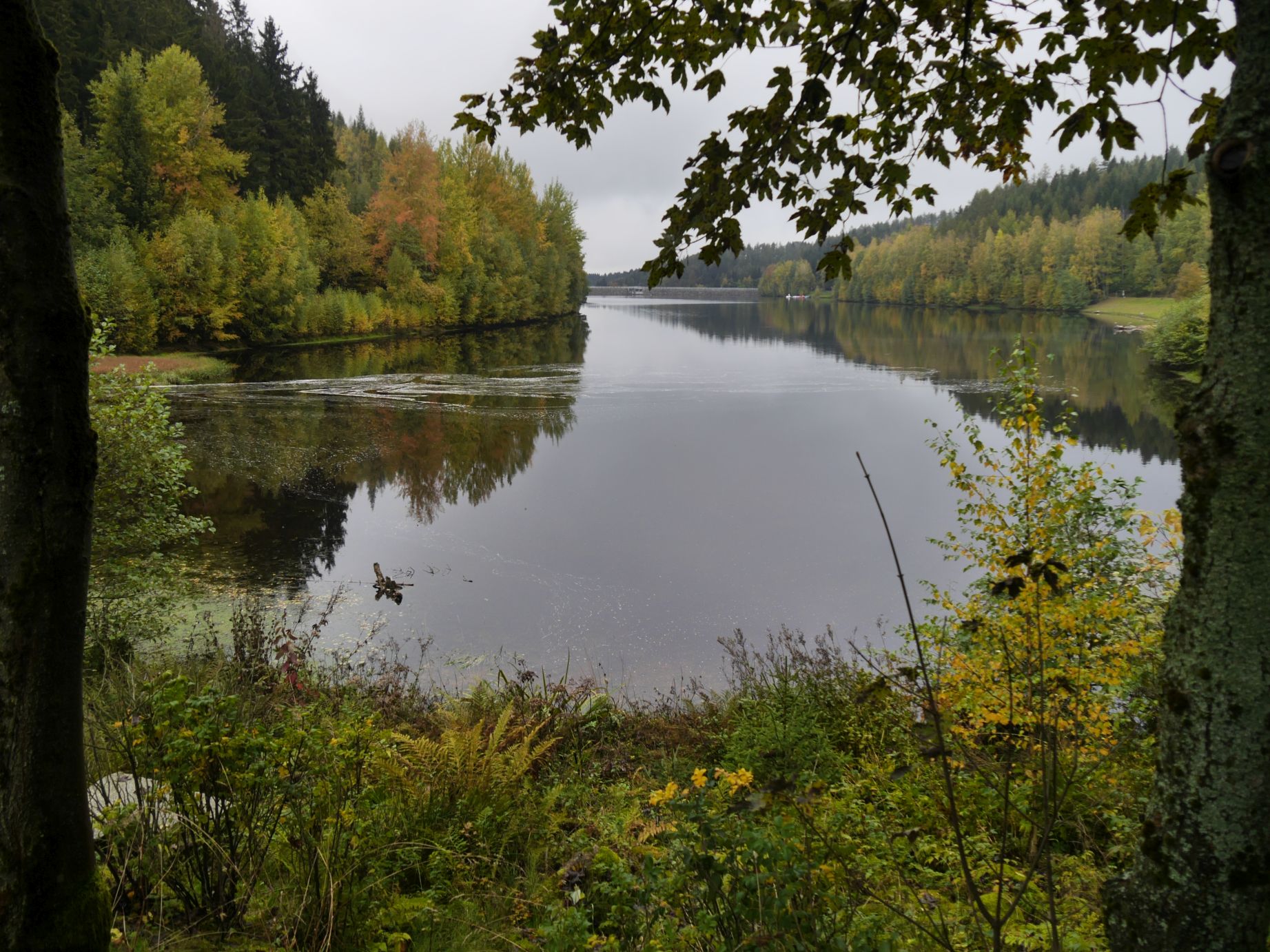 Talsperre Falkenstein