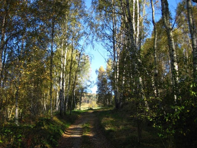 Wanderung zwischen Kraslice und Aschberg