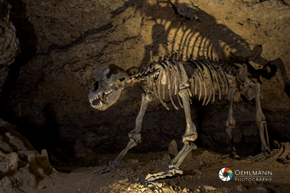 News Banner, brechende Wellen, 3D Online Ausstellung Wind & Wellen, Dr. Ralph Oehlmann, Oehlmann-Photography