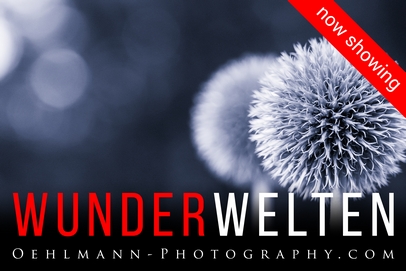 News Banner, Hinterriss, 3D Online Ausstellung Wunderwelten, Dr. Ralph Oehlmann, Oehlmann-Photography
