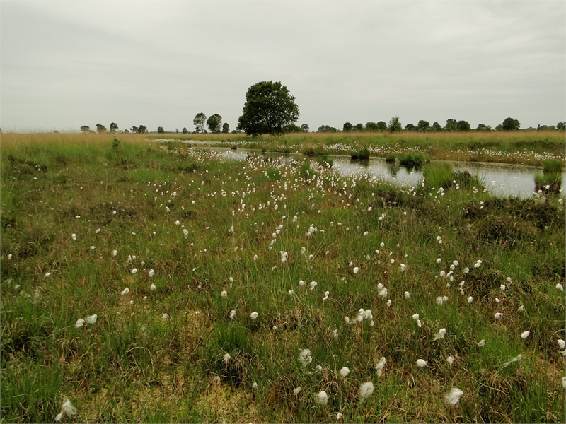 Naturschutzgebiet Ewiges Meer, © Michael Steven