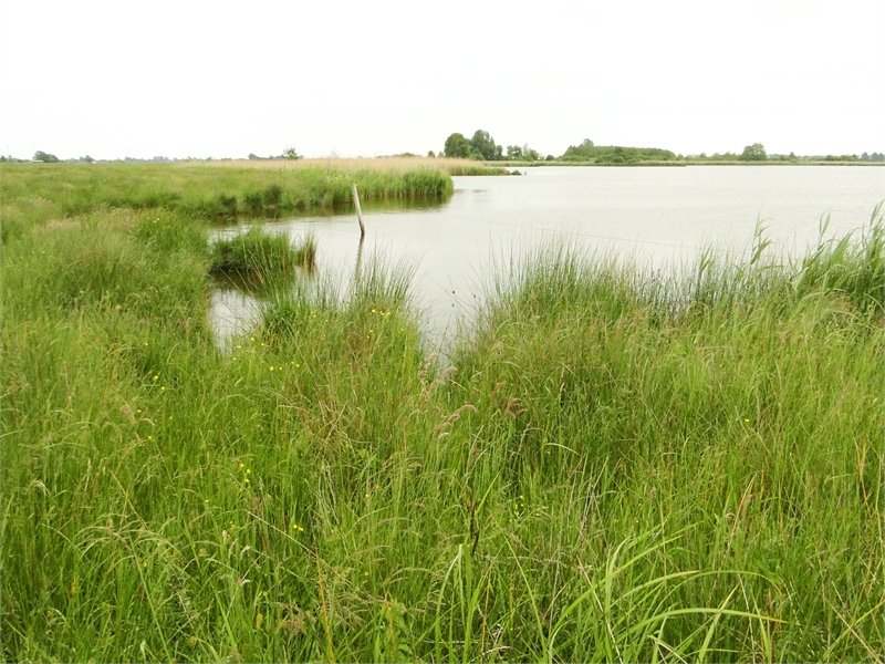 Das Große Meer ist der größte von ursprünglich über 100 Flachseen, den Ostfriesischen Meeren, © Michael Steven