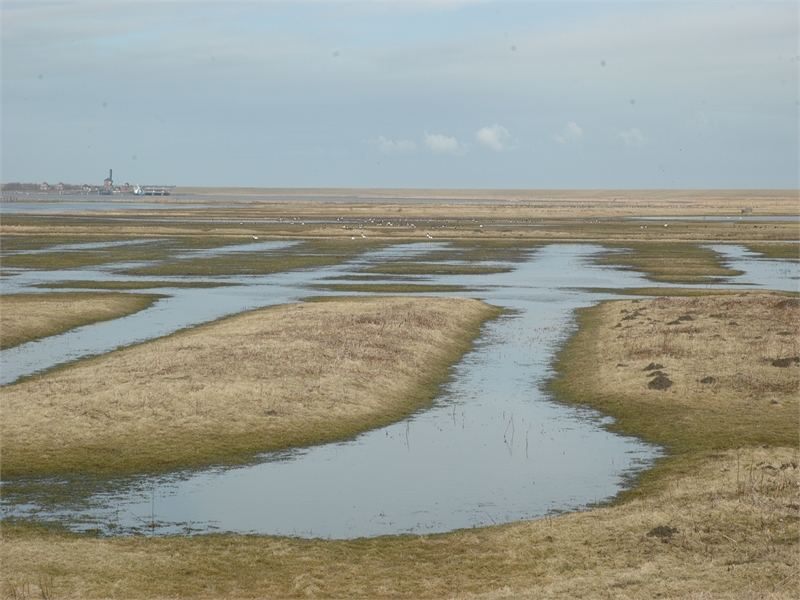 Naturschutzgebiet Leyhörn, © Michael Steven