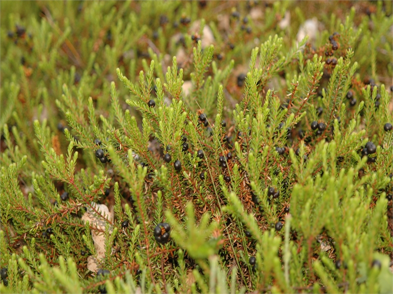 Naturschutzgebiet Schwarzes Meer, © Michael Steven