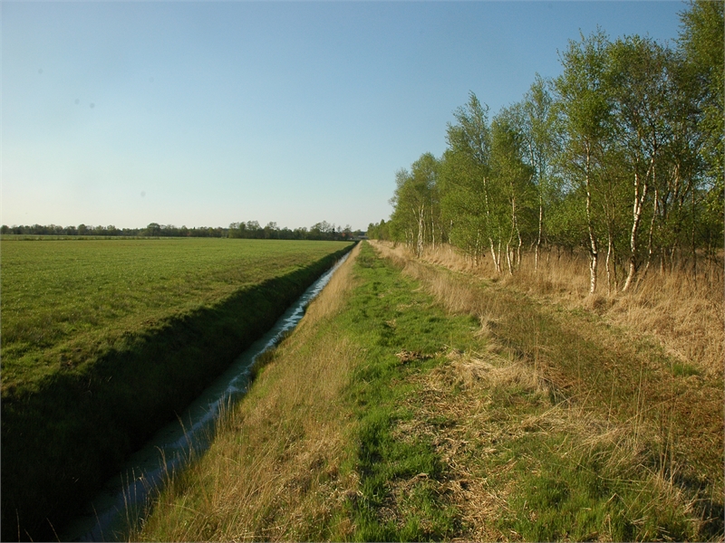 FFH-Gebiet Kollrunger Moor und Klinge, © Michael Steven