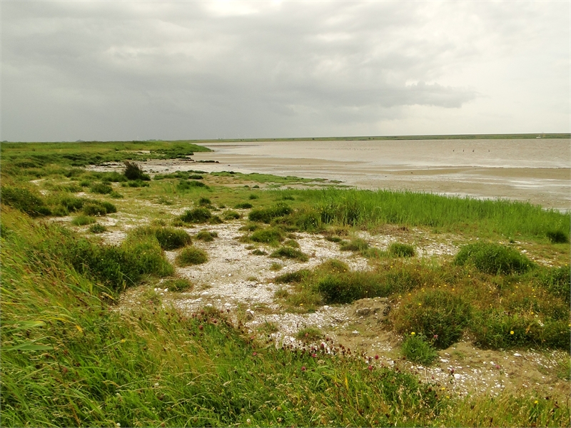 Naturschutzgebiet Leyhörn, © Michael Steven