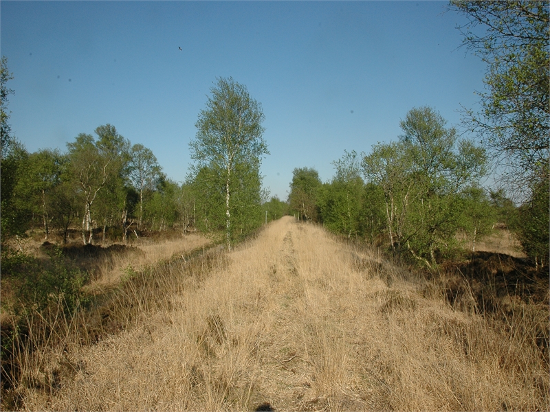 FFH-Gebiet Kollrunger Moor und Klinge, © Michael Steven