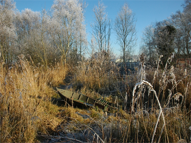 Schilfgebiet bei Forlitz-Blaukirchen, © Michael Steven