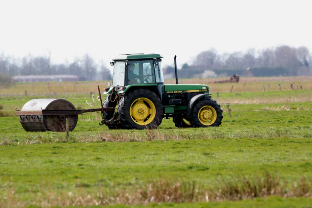 Auch das Walzen von Wiesen macht vielen Bewohnern den Garaus, wenn dies während der Vegetationsperiode durchgeführt wird. Foto: M. Steven