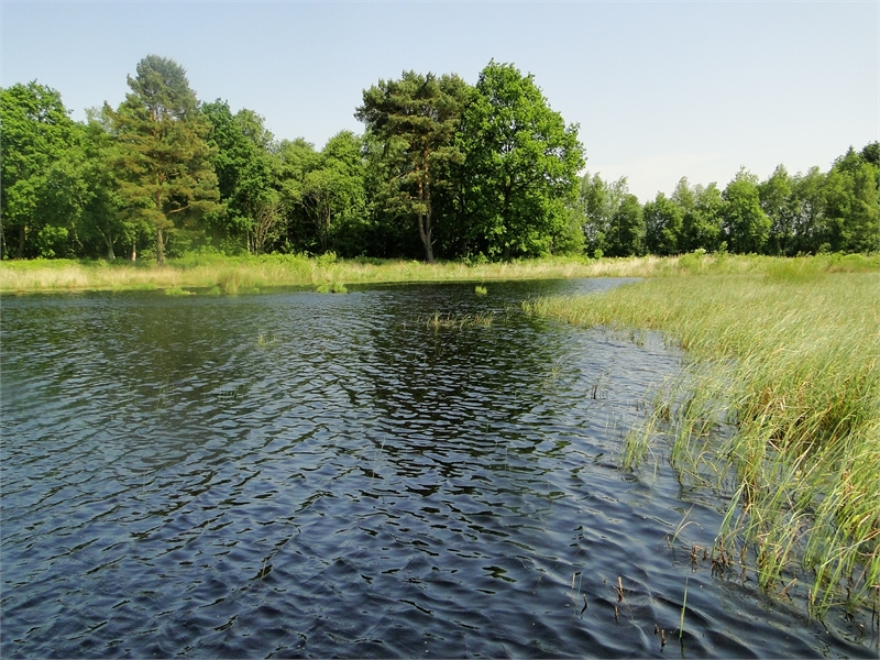 Naturschutzgebiet Schwarzes Meer, © Michael Steven