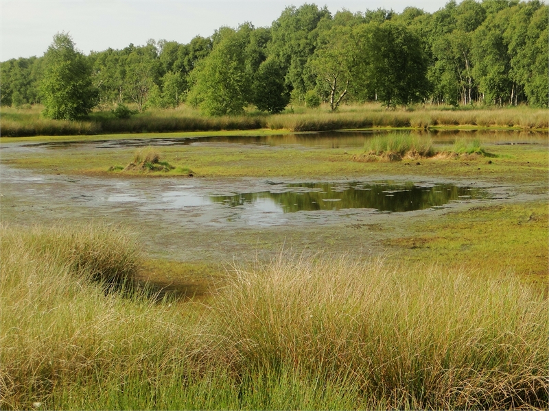 Naturschutzgebiet Ewiges Meer, © Michael Steven