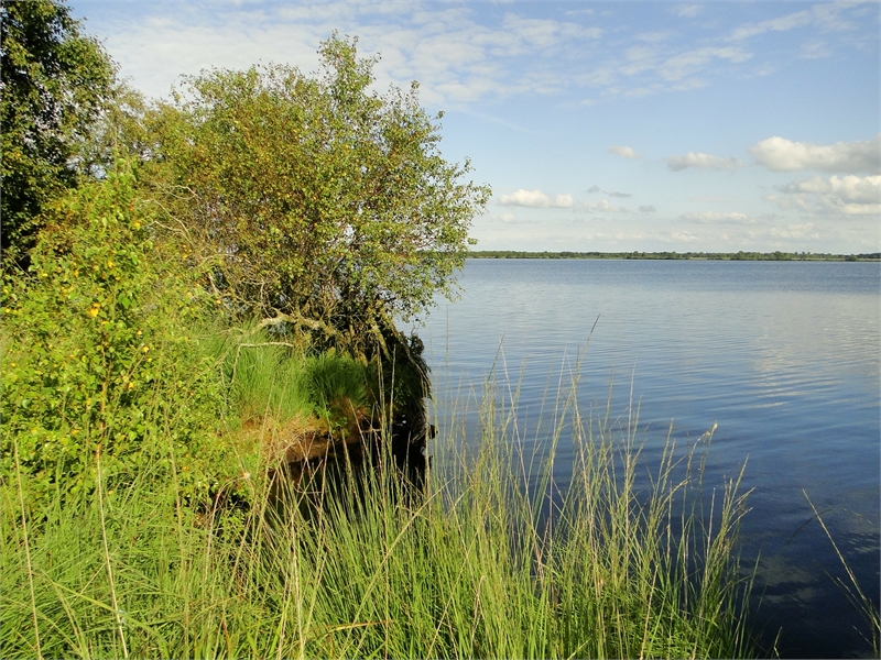 Naturschutzgebiet Ewiges Meer, © Michael Steven