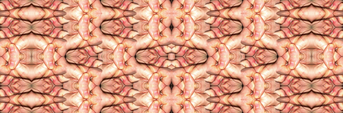 56\haende_heliconia_2015_relief  |    angelegt auf 60 x 182 cm   |   2015