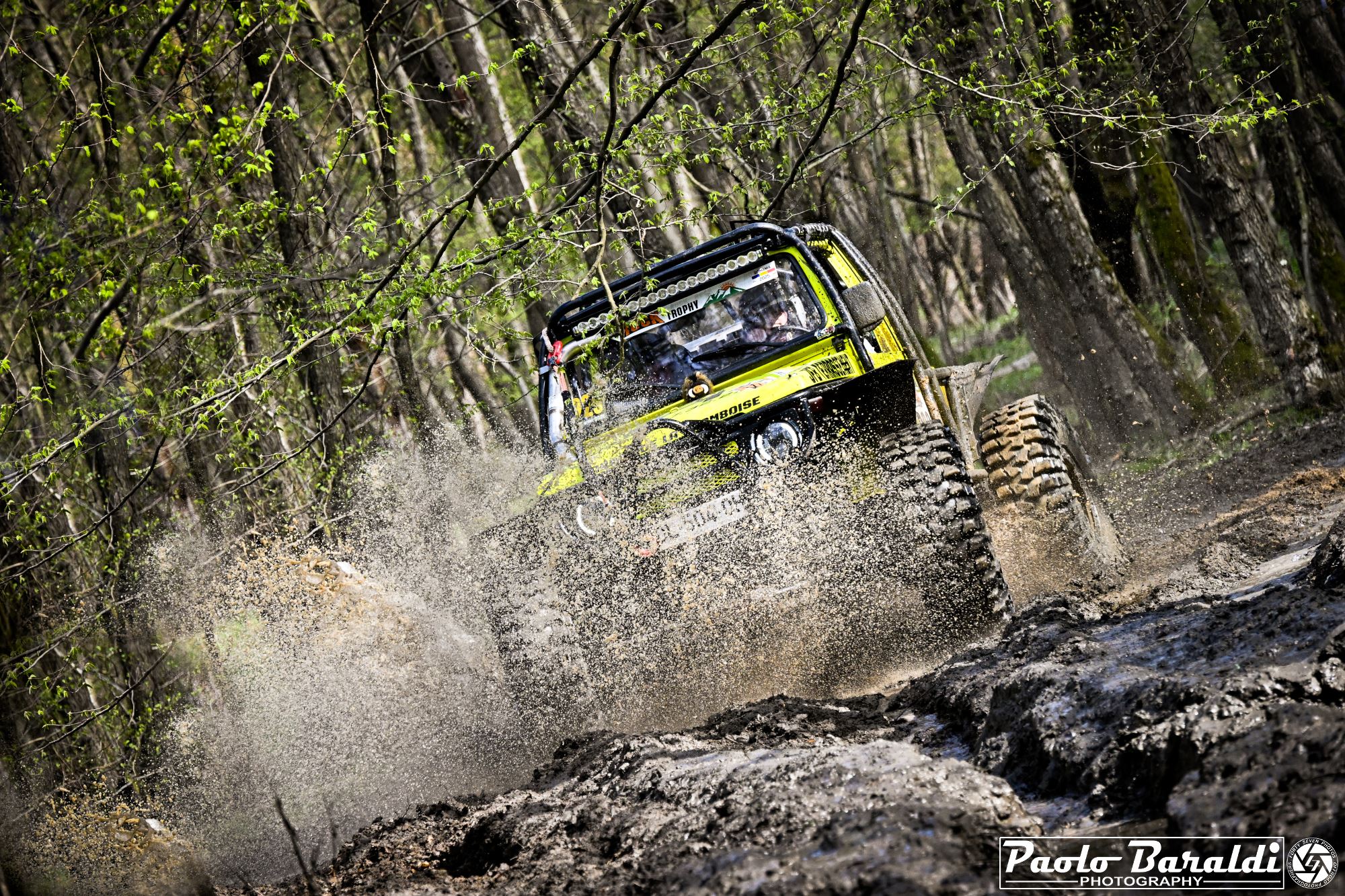 The Rock Trophy 2025: A New Legend is Born
