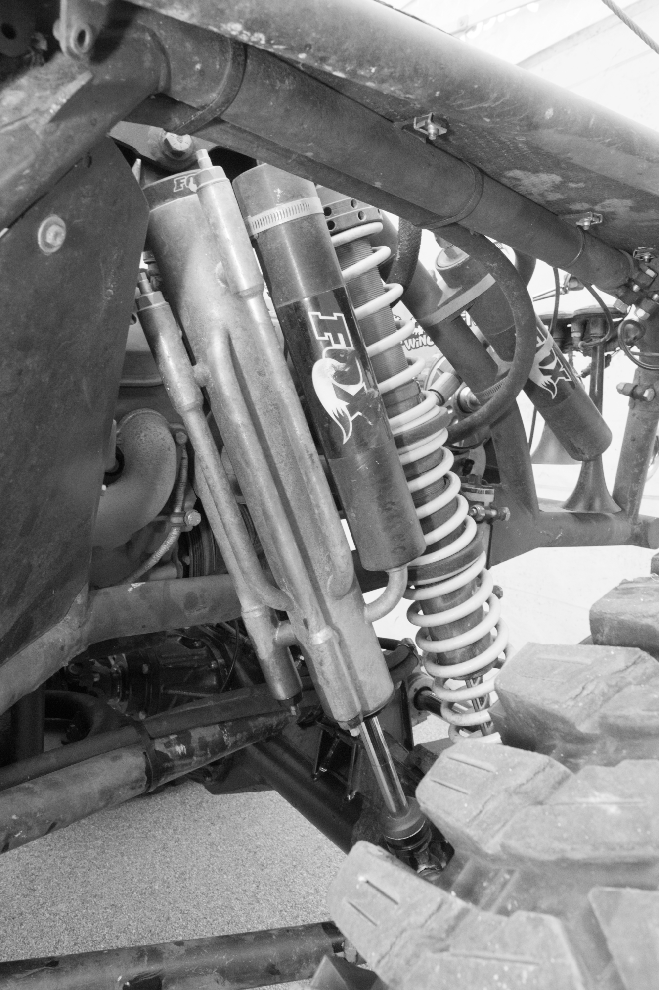 Let's find out all the secrets of Gigglepin Racing Little Lady