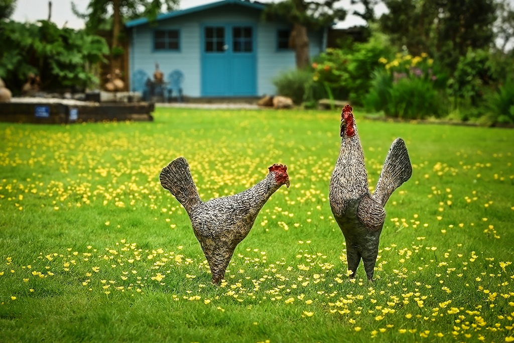 English Chickens