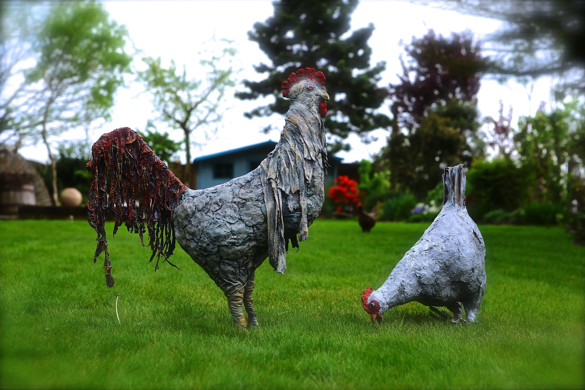 Big Garden Chickens