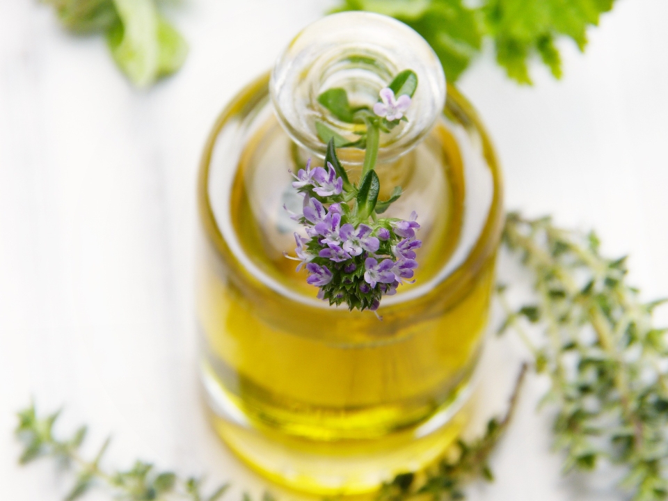 Kräuterworkshop Kräuterevent Kräuterapotheke Naturapotheke Natürliche Hausapotheke - Bottrop - Ruhrgebiet - NRW mit Wildkräuterexpertin Nicole - HappyHeppert - Hiking, Herbs & Happy Moments