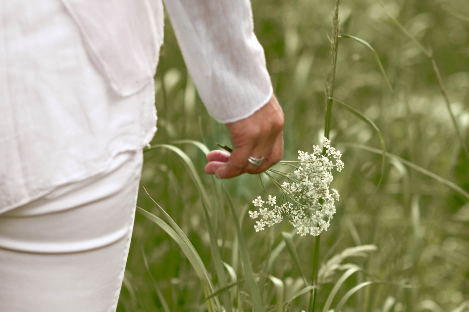 Kräuterwissen Pilzwissen Naturwissen Kräuterwanderung Kräutertour Kräuterspaziergang Kräuterführung Kräuterworkshop Kräuter Retreat Kräuterreteat Kräuterauszeit Naturerlebnisse Naturevents