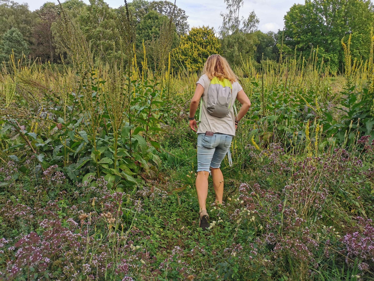  Kräuterwanderung Kräutertour Kräuterspaziergang Kräuterführung Privatführung- Bottrop - Ruhrgebiet - NRW mit Wildkräuterexpertin Nicole - HappyHeppert - Hiking, Herbs & Happy Moments