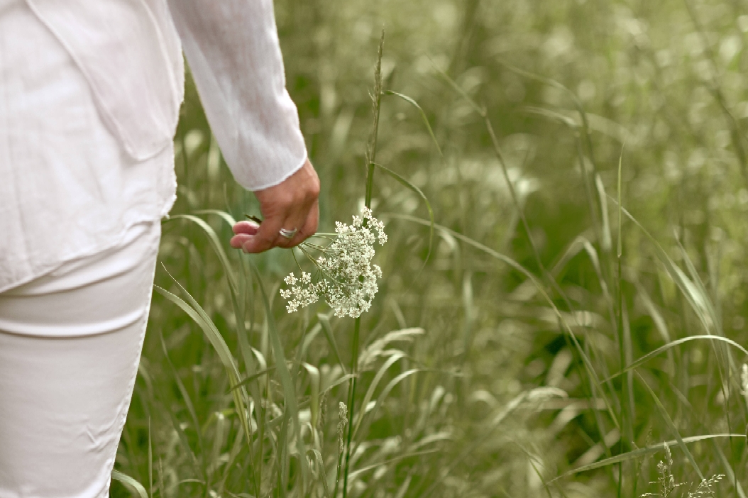 Kräuterwanderung Kräutertour Kräuterspaziergang Kräuterführung Kräuterworkshop Kräuter Retreat Kräuterreteat Kräuterauszeit Naturerlebnisse Naturevents