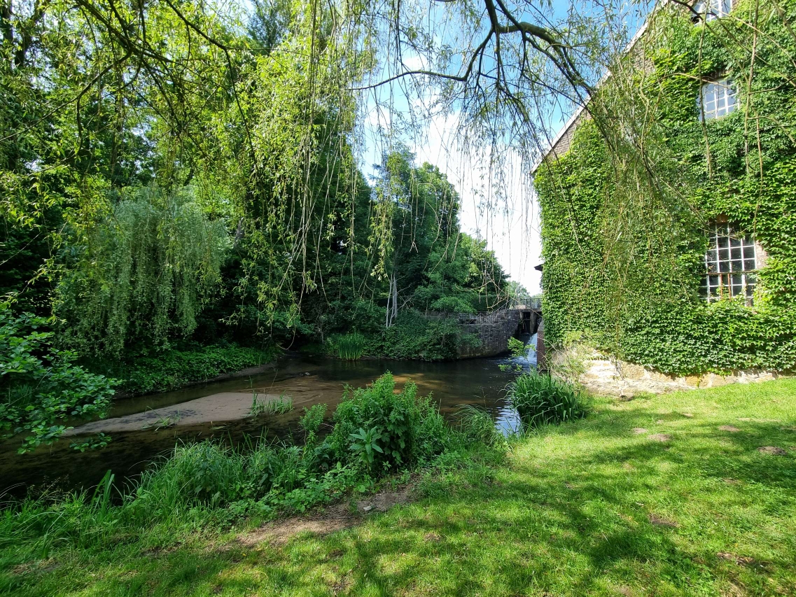 Kräuterwanderung Kräuterworkshop Kräuter Retreat Kräuterretreat Kräuter Auszeit Kräuterauszeit mit Wildkräuterexpertin Nicole von HappyHeppert