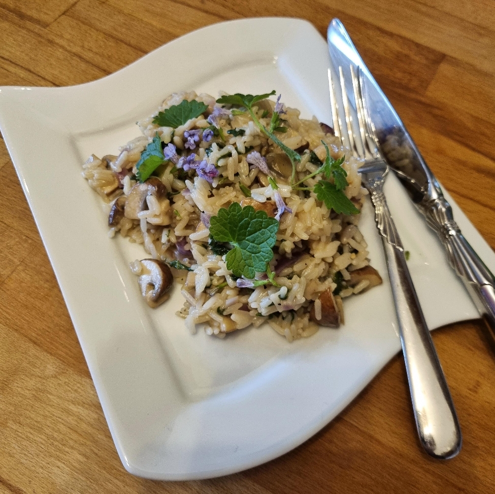 Kräuterworkshop Kräuterevent Wildkräuterküche Kochen mit Wildkräutern Wilde Küche - Bottrop - Ruhrgebiet - NRW mit Wildkräuterexpertin Nicole - HappyHeppert - Hiking, Herbs & Happy Moments