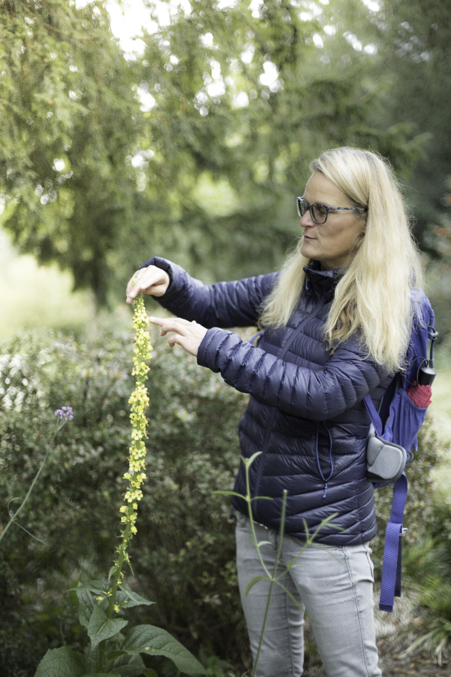  Kräuterwanderung Kräutertour Kräuterspaziergang Kräuterführung Privatführung- Bottrop - Ruhrgebiet - NRW mit Wildkräuterexpertin Nicole - HappyHeppert - Hiking, Herbs & Happy Moments