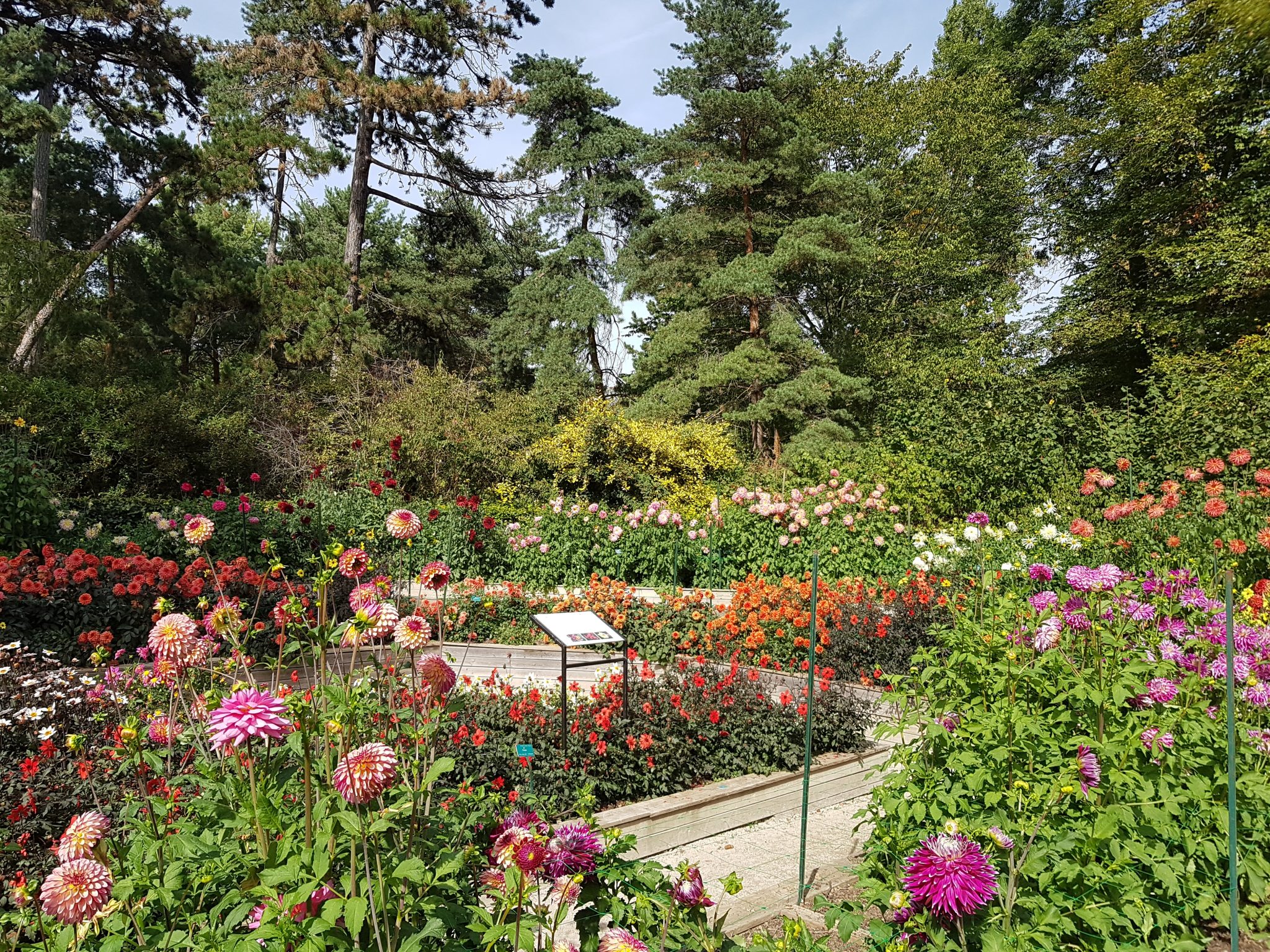 Sortie au Parc Floral de Paris et bois de Vincennes les 21 et 23 Mai 2024