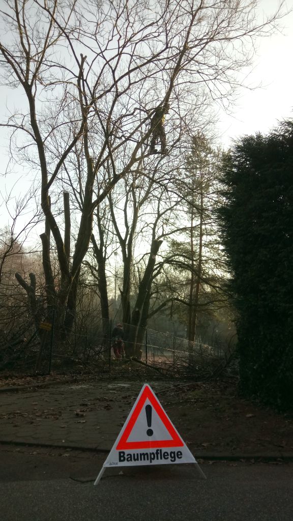 überhängende Äste entfernen