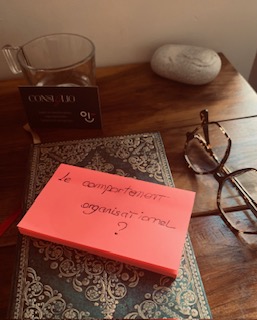 Eclairage sur le comportement organisationnel💡
